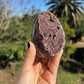 Little red stalactite cut base