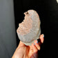 Champagnr formation druzy cut base