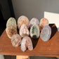 Special rainbow lot #1