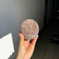 Champagne sugar cut base