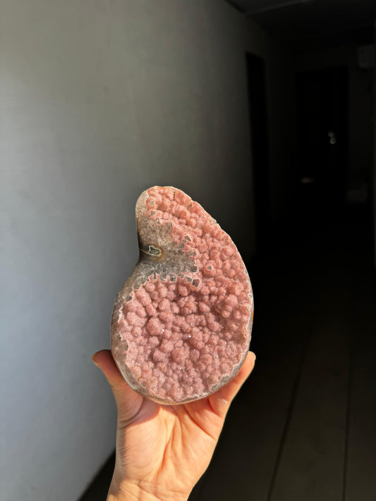 Pink sugar rainbow piece