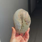 Green moss formation piece
